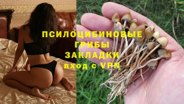 PSILOCYBIN Балабаново