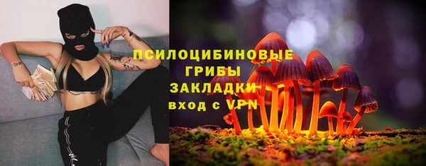 PSILOCYBIN Балабаново